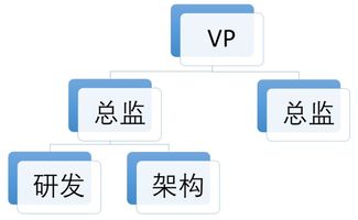 五維協(xié)同 研發(fā)、產(chǎn)品、架構、業(yè)務與項目管理下的多元組織架構建設與市場營銷策略融合