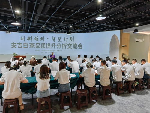 茶韻湖州·智慧賦能——浙江安吉茶產業服務團科創沙龍紀行